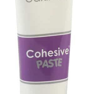 Convatec 839010 | Eakin Cohesive Paste | 2.1oz Tube | 1 Item