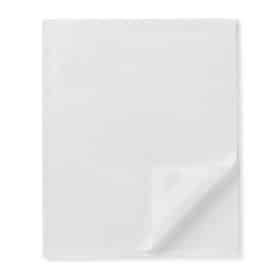 Medline Exam 2-Ply Drape Sheet | 40" x 48" | MDL NON23339 | Case of 100